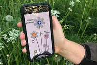 The app for the botanical overview. Photo: www.floraincognita.com