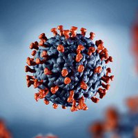 Bild: artegorov3@gmail / stock.adobe.com