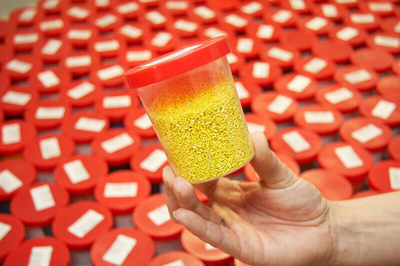 Polymers - strong in Thuringia