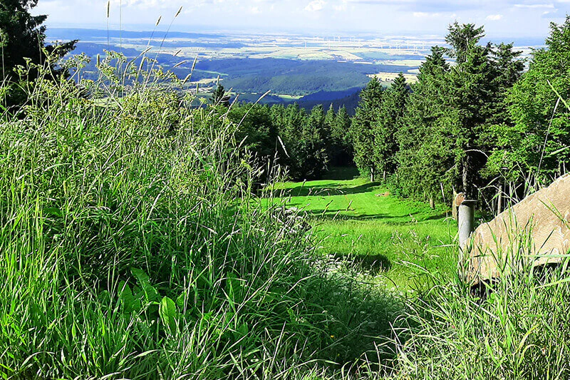 Natur pur - der Thüringer Wald. Bild: LEG Thüringen / Gerlach Natur pur - der Thüringer Wald. Bild: LEG Thüringen / Gerlach