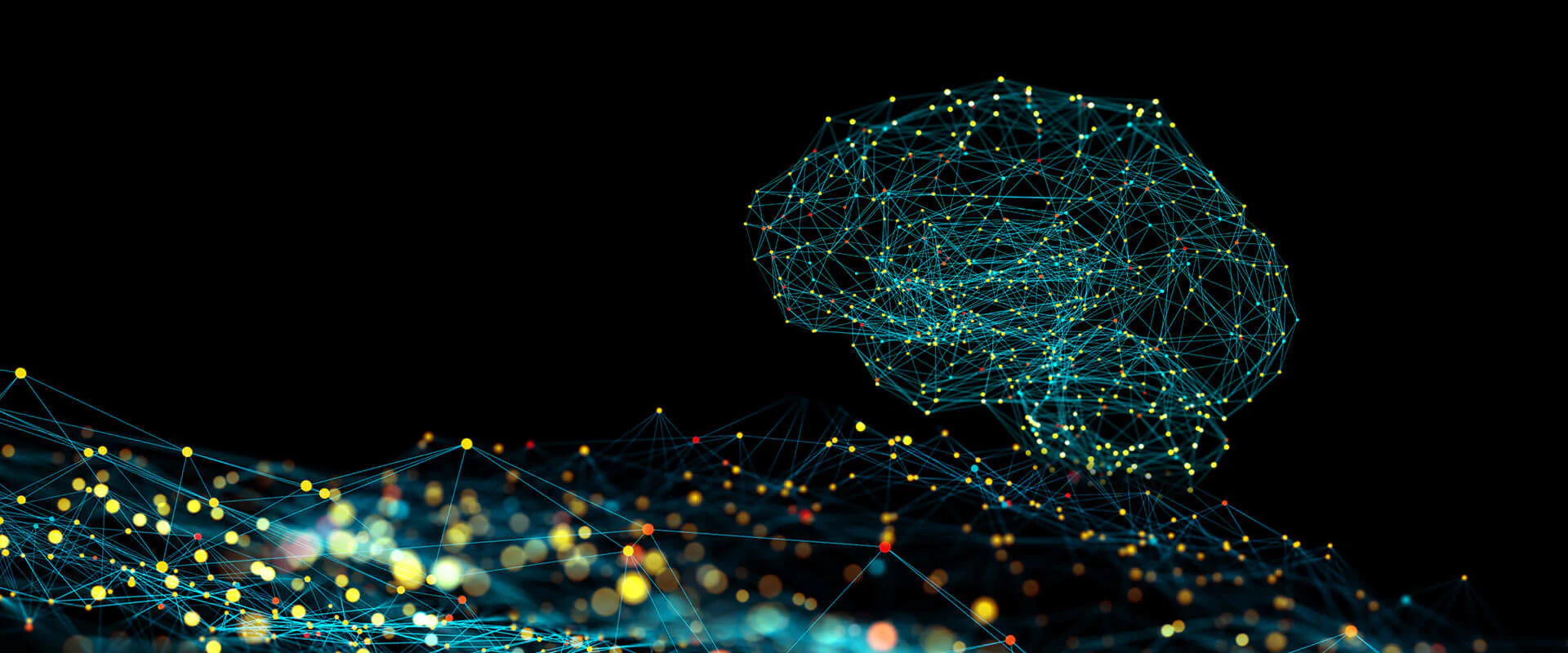 Header Born in Thuringia Bildbeschreibung / description: Header Born in Thuringia