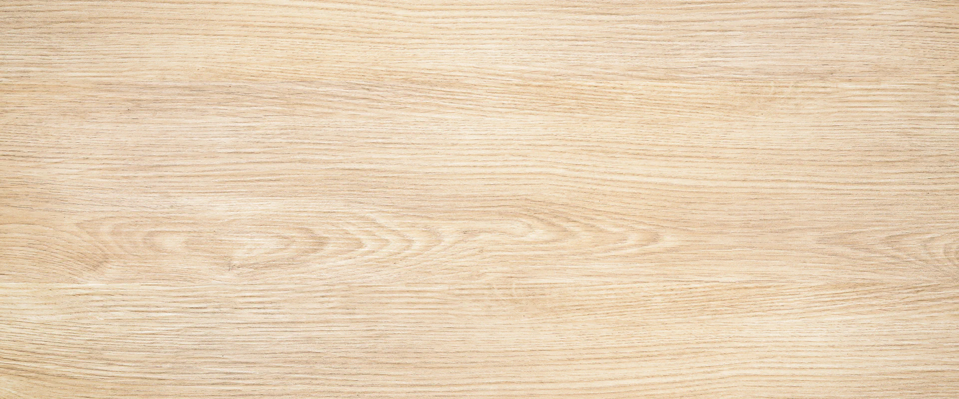 Bildbeschreibung / description: 