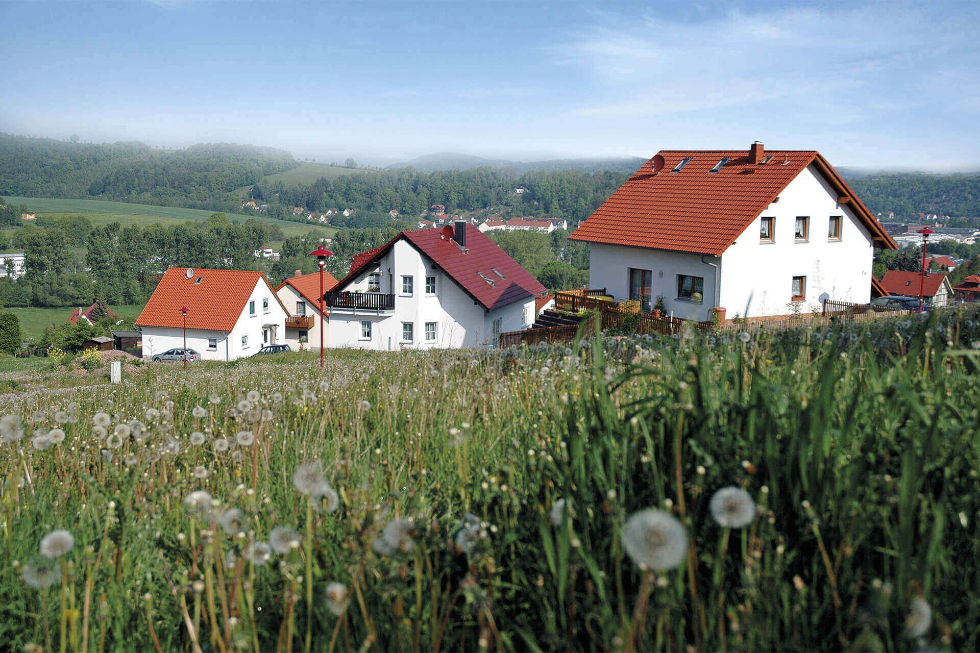 Bildbeschreibung / description: 