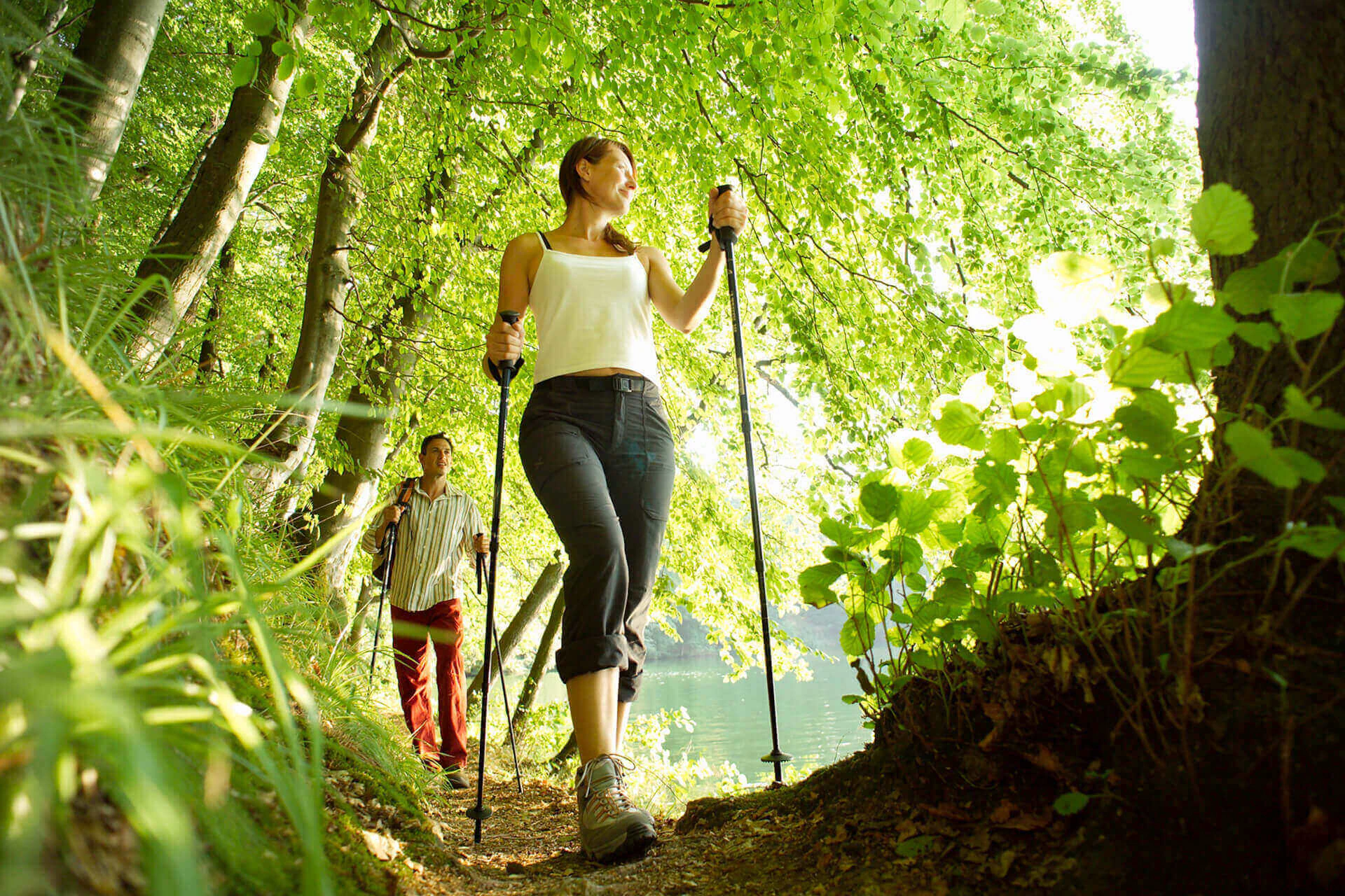 Bildbeschreibung / description: 