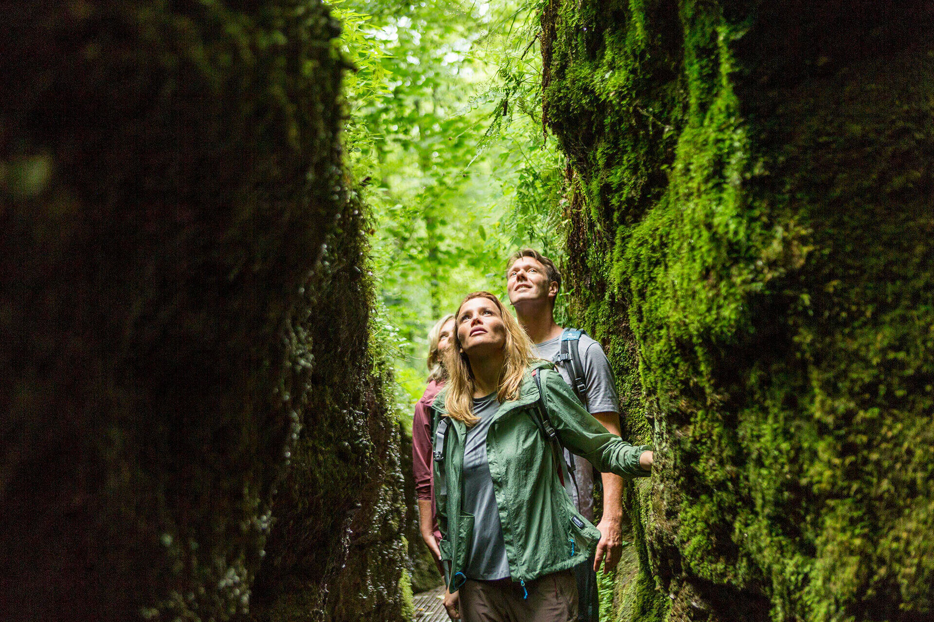 Bildbeschreibung / description: 