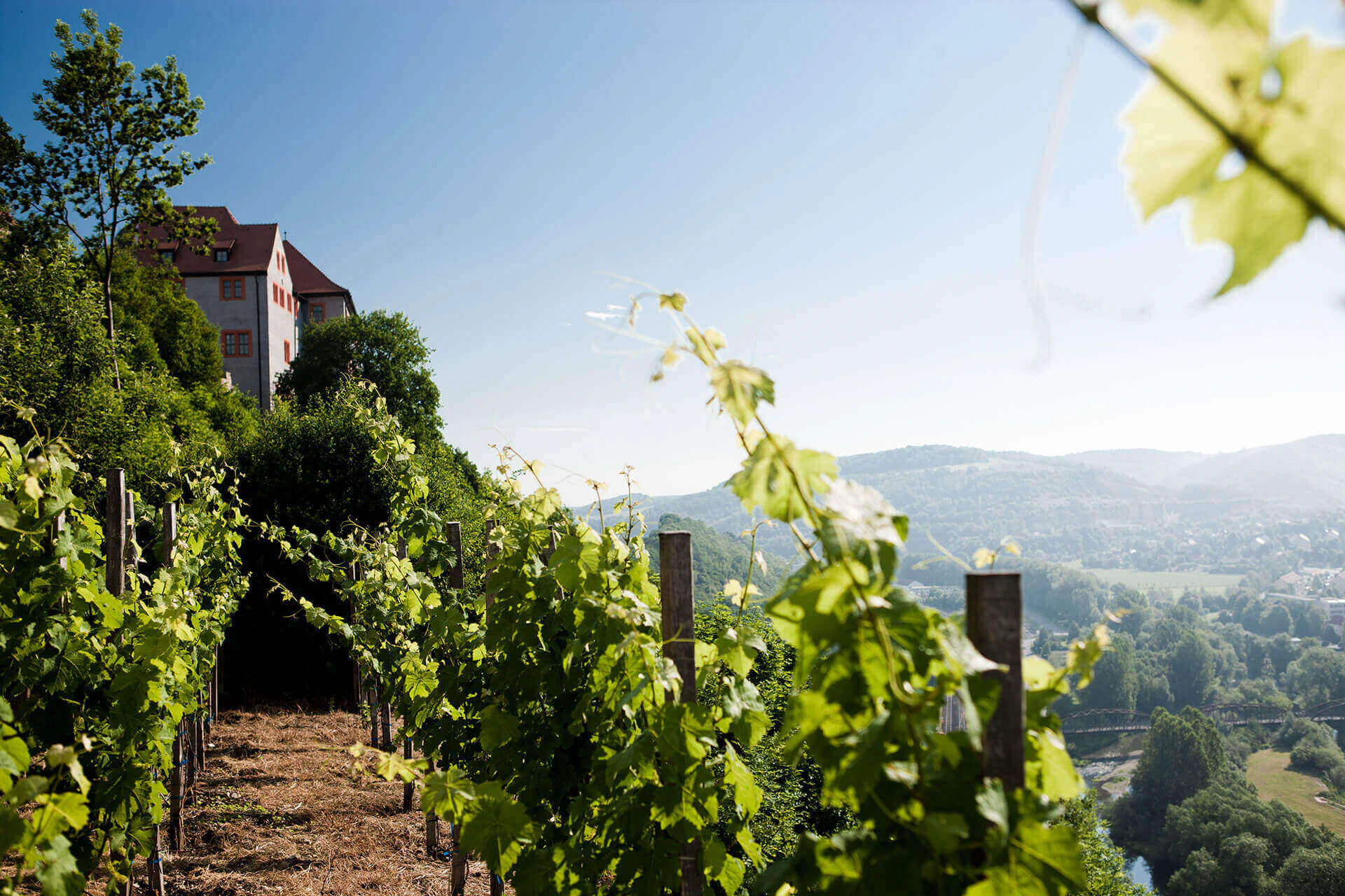 Bildbeschreibung / description: 