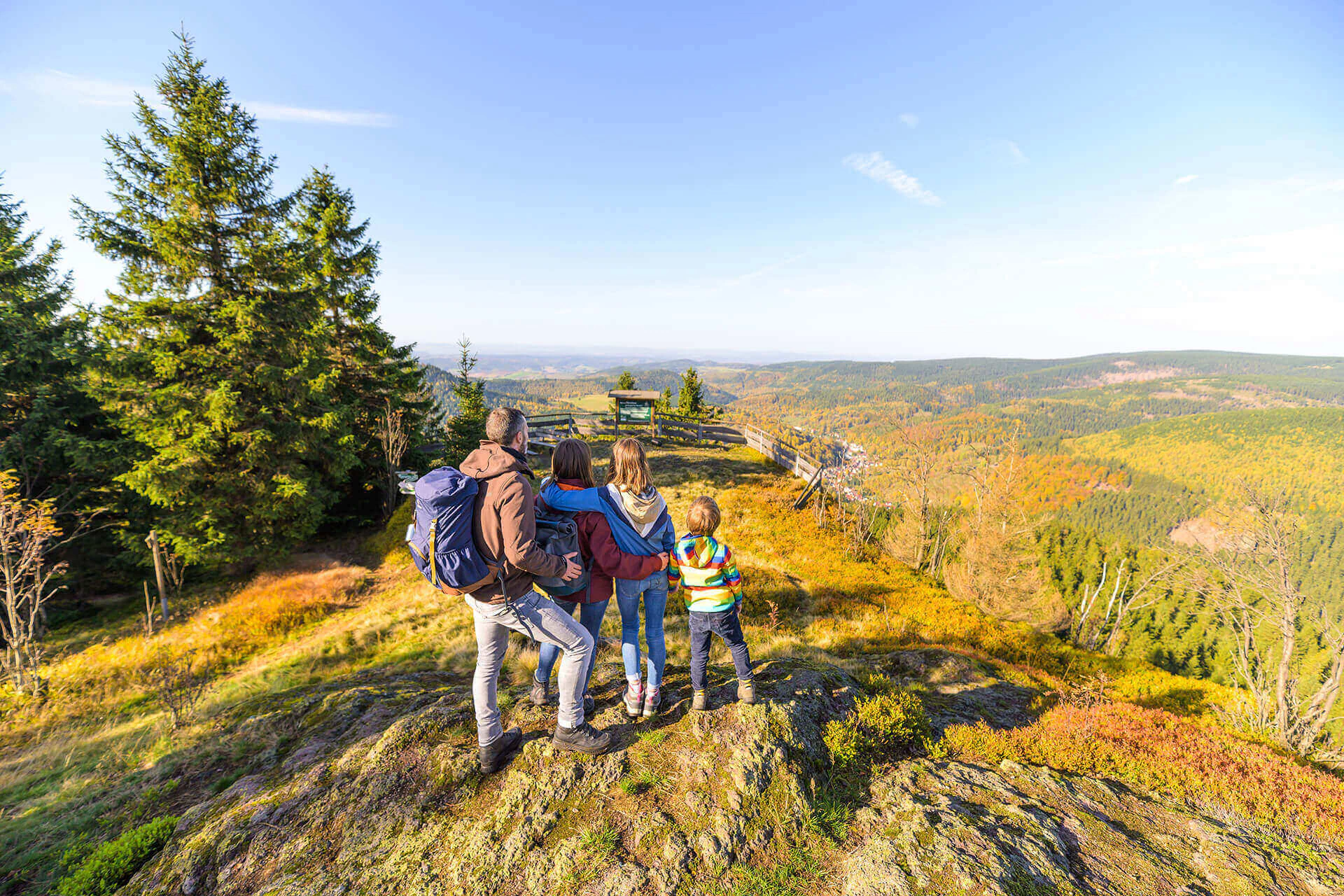 Bildbeschreibung / description: 