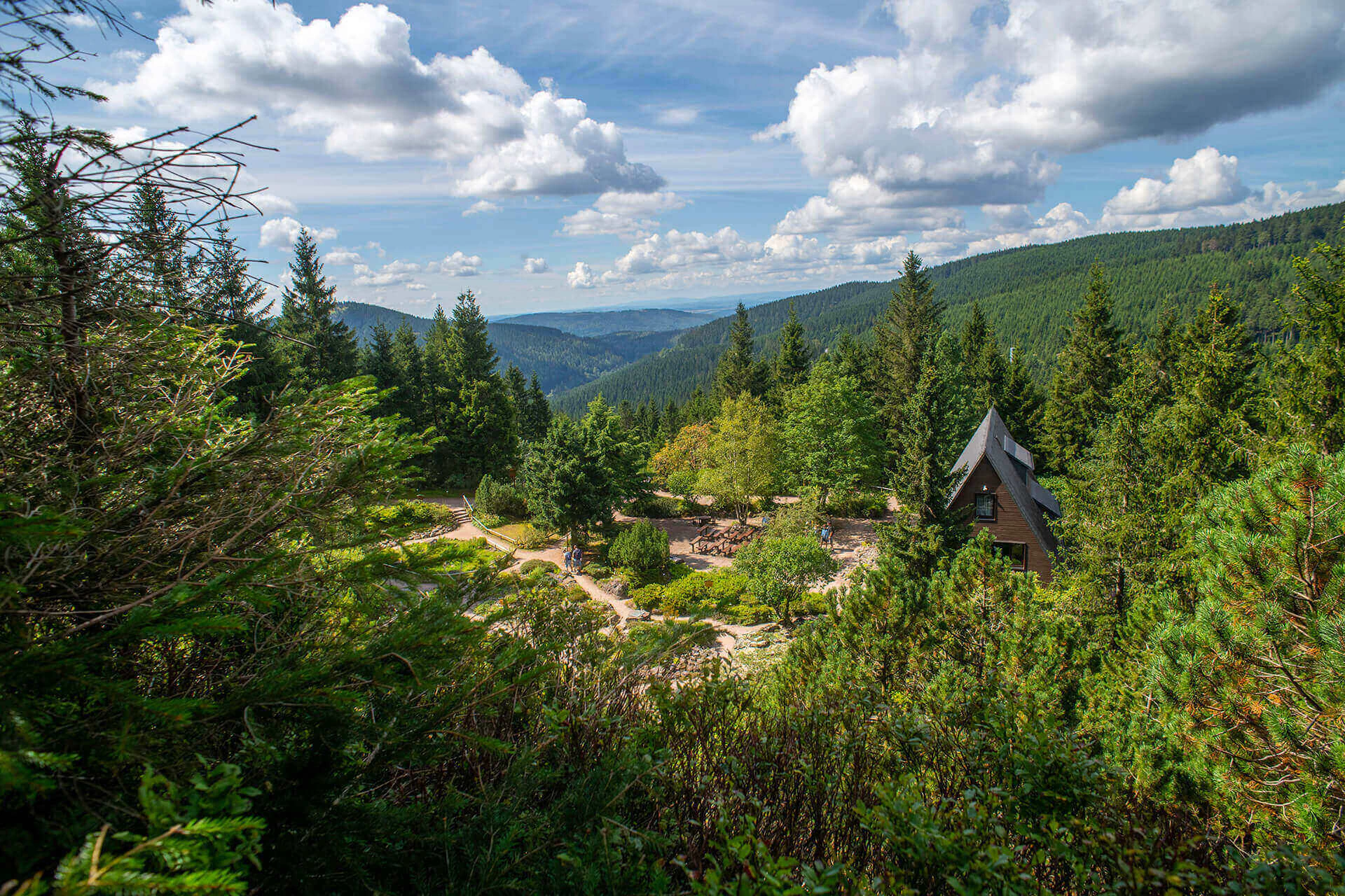 Bildbeschreibung / description: 