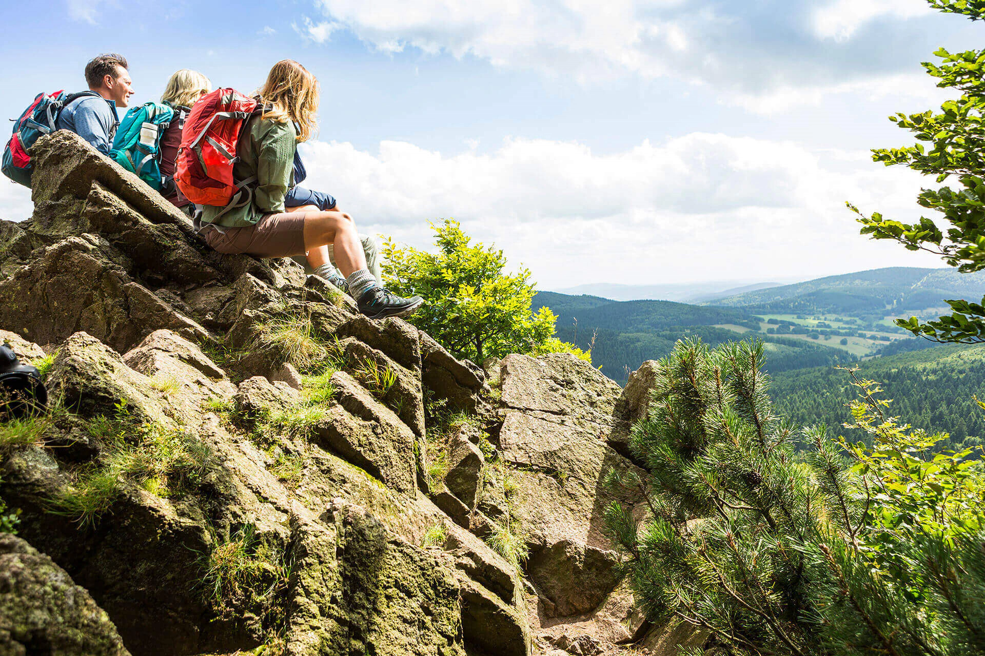 Bildbeschreibung / description: 