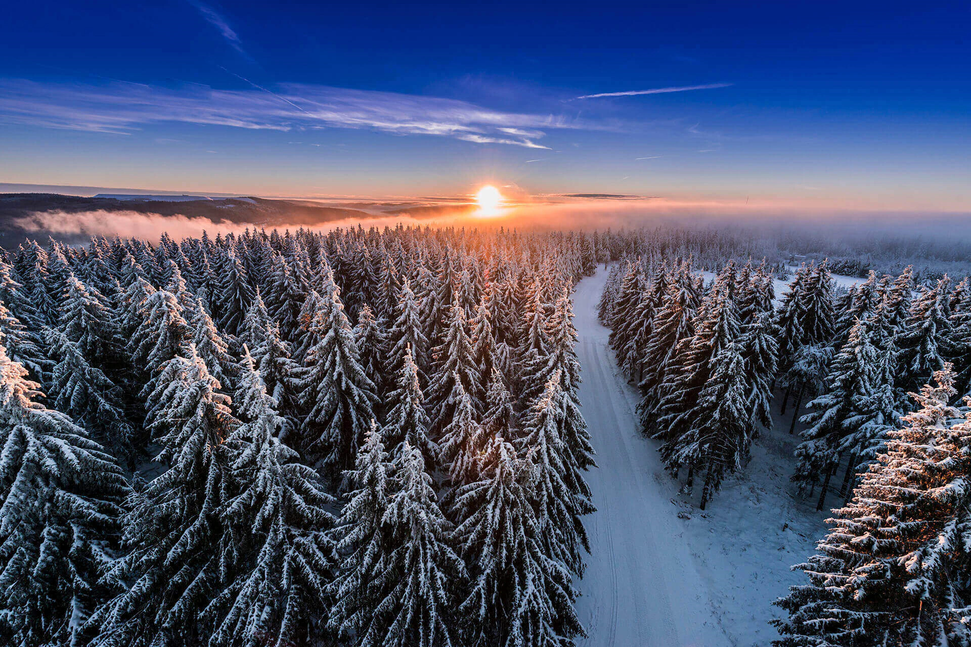 Bildbeschreibung / description: 