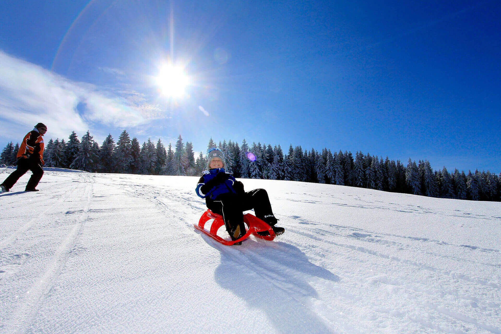 Bildbeschreibung / description: 