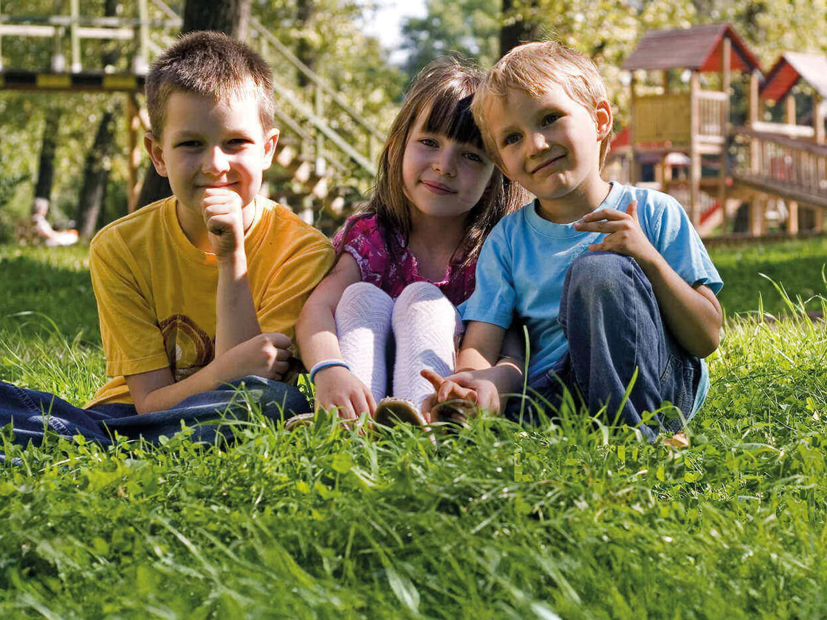 Bildbeschreibung / description: 