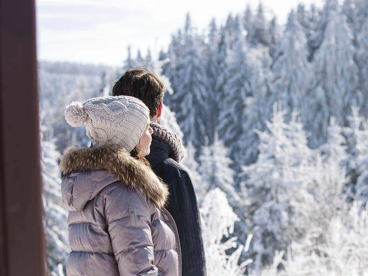 Bildbeschreibung / description: 