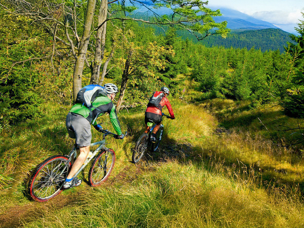 Bildbeschreibung / description: 