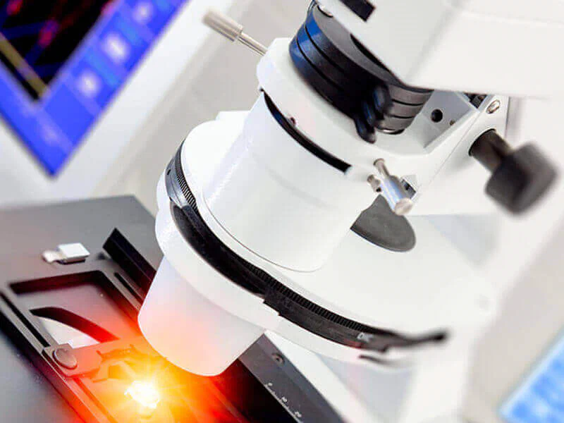 Bildbeschreibung / description: