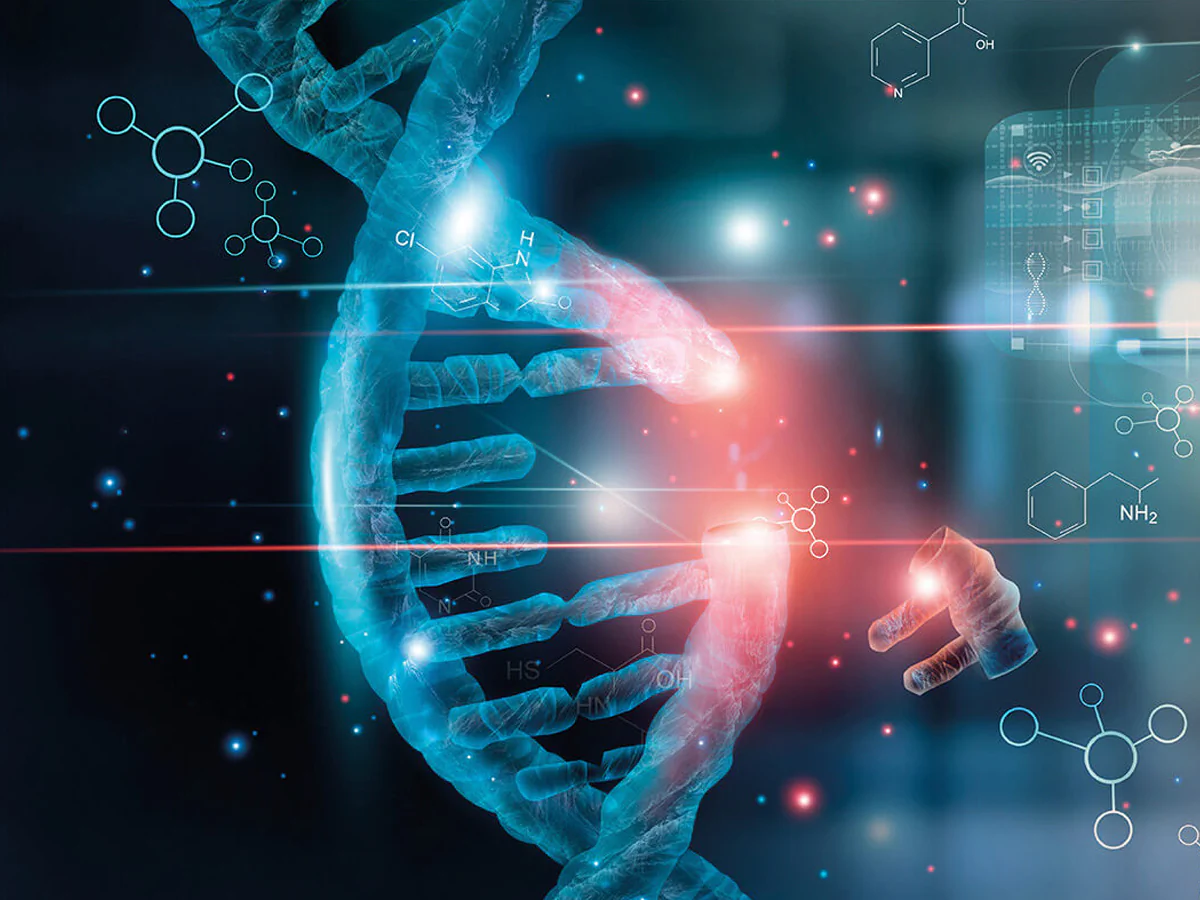 Bildbeschreibung / description: