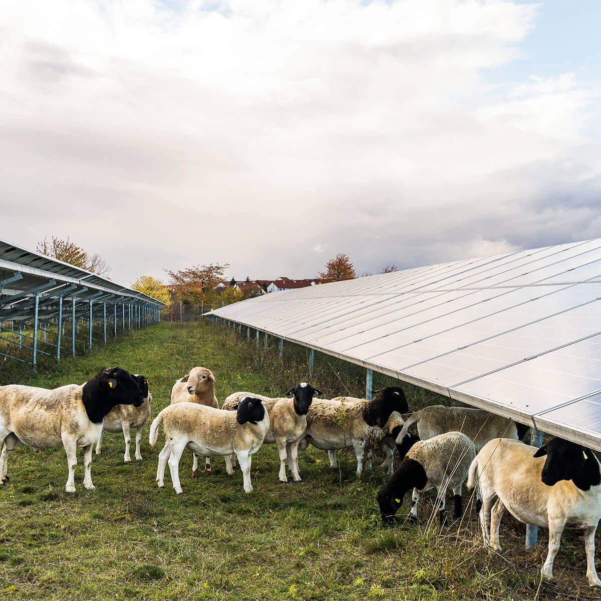 Effizienz steigern, Energiekosten sparen Bildbeschreibung / description: Effizienz steigern, Energiekosten sparen