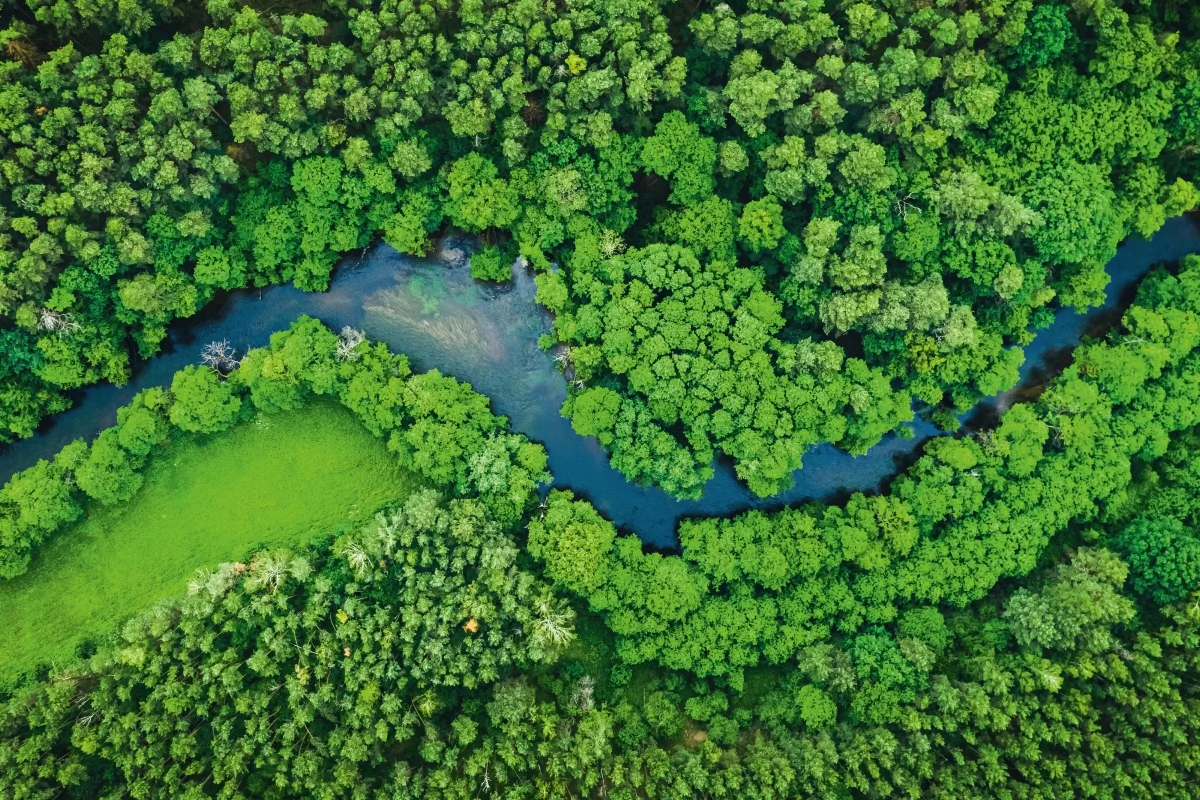 Nachhaltige Energie und Ressourcenverwendung Bildbeschreibung / description: Luftbild eines mäandernden Flusses im Wald