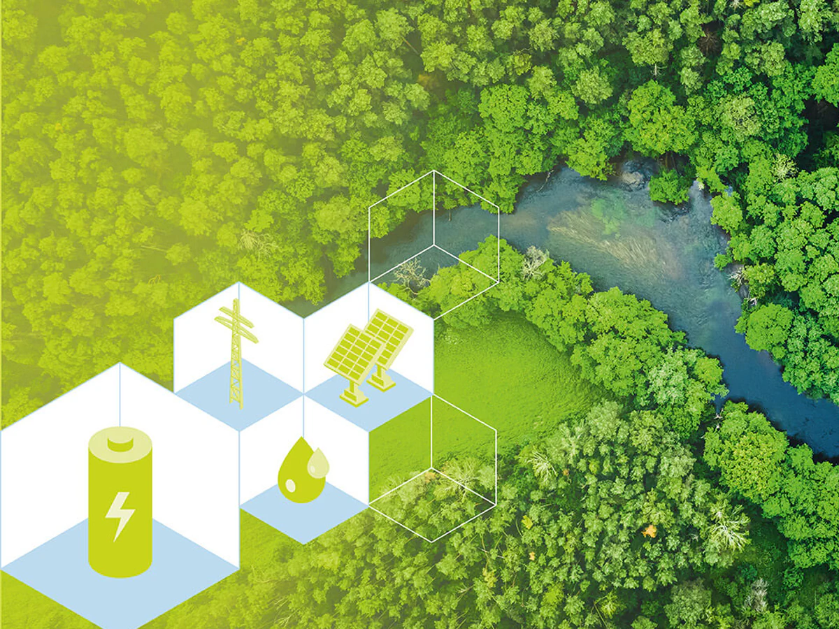 Bildbeschreibung / description: 